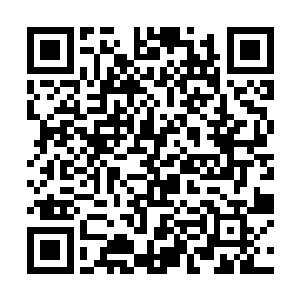最主要的原因是不想离开林光山而不是不喜欢赵诗文二维码生成