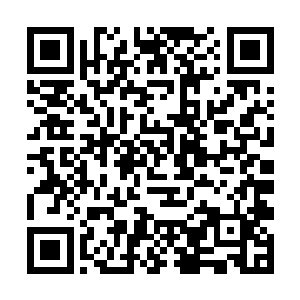 最主要的还是因为咱们醉仙居的名号已经传扬出去了二维码生成