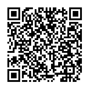 最初的萨默菲尔只能算是黑暗议会的一个稍微有点强力的天才高手而已二维码生成