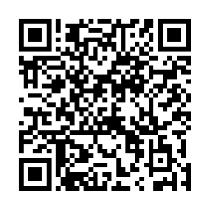 最势同水火的就是曾经江城内的野狼帮一脉和罗楼一脉了二维码生成