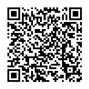 最后一包饼干也吃完了……天啊……为什么这世界这么令人绝望……二维码生成