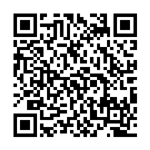 最后一张狰狞的丑陋的血色的面孔出现在了杨戬的视线之中二维码生成