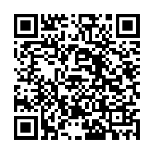 最后又在决战之中将实力在自己之上的血族的血皇二维码生成
