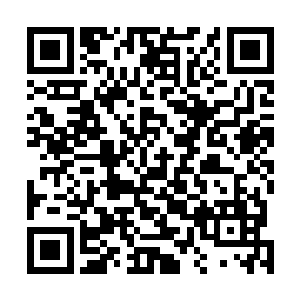 最后同时被旅游局约谈这才暂时停止打毫无底线的价格战二维码生成