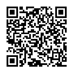 最后如果不是女娲娘娘结合诸多大能之力稳住了当年的鸿蒙大陆二维码生成