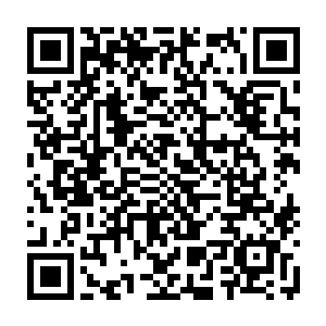 最后巴克的降落伞从那一帮正漂在水中竭力收拢伞面的尖子生头上飘过时候二维码生成