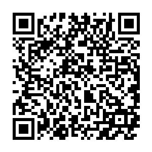 最后成功地花了一个银币在里面租了基础炼金设备一个小时的使用权二维码生成