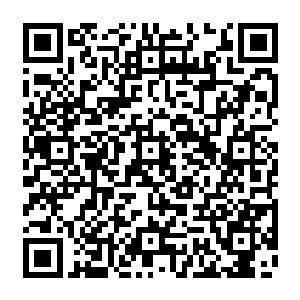 最后更是干脆连着装发型都仔细关切了一遍……直到邓铮开口问他觉得自己能不能行二维码生成