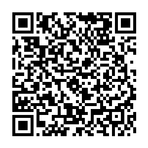 最后杨戬的精血在万鬼噬天幡上面直接形成了一个诡异的血色的符文二维码生成