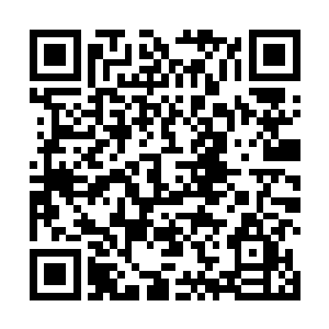 最后白角王族想要保留的族人也全都在这次大战中死亡二维码生成
