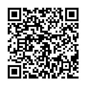 最后看了一眼周围已经趴在三辆汽车前散开的苏鲁族战士二维码生成