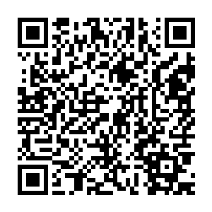 最后菩提世界所崩塌的部分竟然开始以极快的速度重新恢复了起来二维码生成