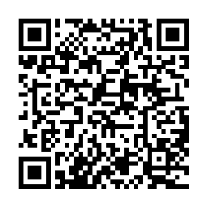 最多半个月就能拉起一个战队重新将景宏宇的公会撑起来二维码生成