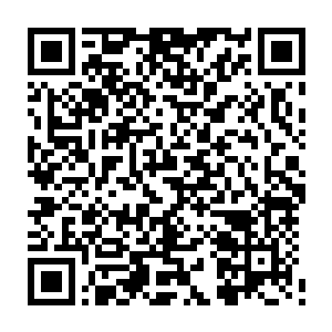 最多的也就是偶尔有人看一看墨修尧脸上的面具在惊叹一下两人的姿容气度二维码生成