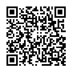最大的可能不是和西蒙他们一起把一楼的二十多个人打死二维码生成