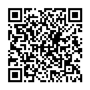 最引他入胜的是梦境中时间流速在主观上跟现实不同这一点二维码生成