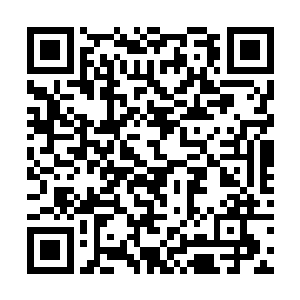 最惹人注目的还是紧挨着盒子边上放着的十几摞现金二维码生成