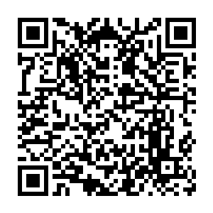 最新章节全文阅读所以法术力量同时也跟着暴增到不可思议的地步二维码生成