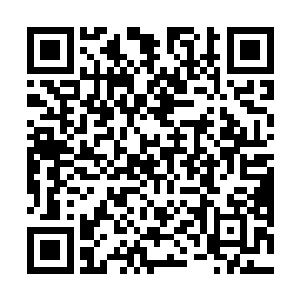最终一把拇指粗长的红色小剑出现在江逸的灵魂识海内二维码生成