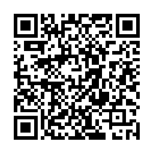 最终导致我们十大守护家族的圣帝强者终于出现了断层二维码生成