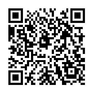 最终将那么多东西全部塞进了两个小小的行李箱里二维码生成