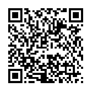 最终无奈地在楚旬和安琪儿所在的海域上方盘旋了起来二维码生成