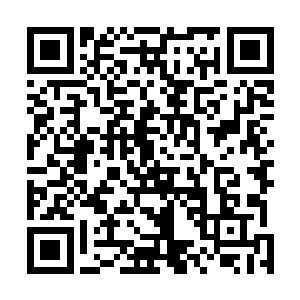 最终看着雨果施施然地离开一就连开车当做掩护都不需要二维码生成