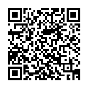 最终确定出了一套较为完善的贵重资源以及各种传承的获取之法二维码生成