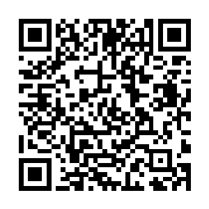 最终秦家大长老和秦悦文发现――江逸的怀疑性最大二维码生成