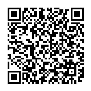 最终那个阵灵之主以十亿极品仙晶零两块下品仙晶的价格送到了虫族族长的手中二维码生成