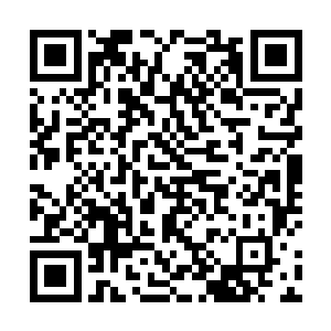 最终都汇总到这边的巨大的电脑上看上去实在是有点人二维码生成