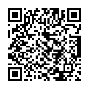 最终铸就了两位主角双双问鼎奥斯卡最佳演员的壮举二维码生成