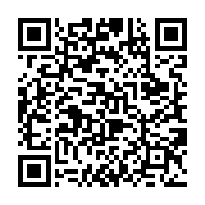 最讨厌同生共死慷慨激昂什么的了……那就一起转吧二维码生成