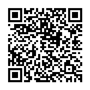 最让丁长生不爽的是别墅的所有窗户里面都加了不锈钢的防盗网二维码生成