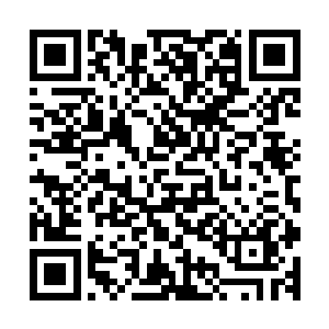 最让他惊讶的是视线下竟然有着两人的修为让他无法感应出来二维码生成