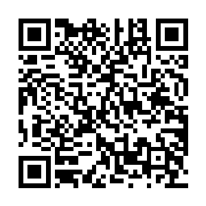 最让众人骇然的是……叶树新的本身修为分明没有受制二维码生成