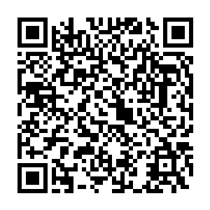 最让叶尘感到难以忍受的是那一股桀骜之气想要吞噬他的丹田识海二维码生成