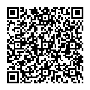 最起码现在打猎的时候如果遇到野鸡啊黄羊兽或者长耳兽什么的大家都会有意识的准备活捉二维码生成