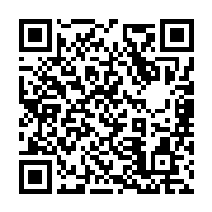 最近一段时间我的修为已经达到了一命境界的巅峰二维码生成