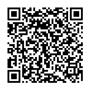 最近意大利好几家奢侈品牌纷纷发布消息将邀请杨肖玫做他们的广告代言人二维码生成