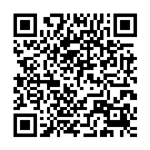 最近王大户和王魁又根据杭州城周边农户大都植桑养蚕的情况二维码生成