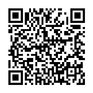 最近的请愿者已经触及守宫门的玉照护卫的衣角二维码生成