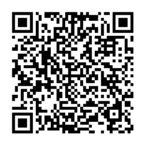 最重要的是他们人见人爱温柔美丽大方的神主陛下长年累月住在下面二维码生成