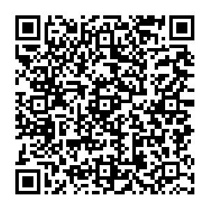 最重要的是这家公司声明他们已经用类似的方案游说了一家国内大型地产公司到东南亚正在开展类似的项目二维码生成