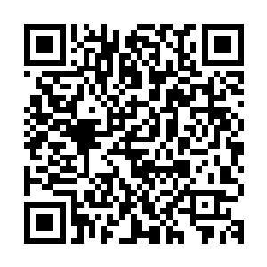 最重要的是里面有很多外表和人族看起来没有区别的生物在行走二维码生成