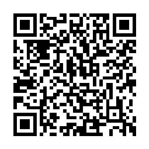 月亮酒店的保安部在之前就第一时间派人过去了二维码生成