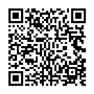 有一个长相妩媚妖娆的花样美男在微博上呼喊要给边学道生猴子二维码生成