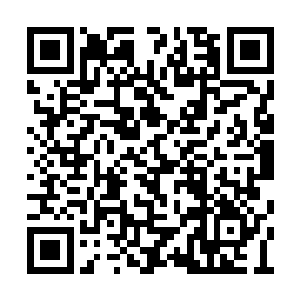 有一件事我十分好奇――你只是随口指点了几句二维码生成