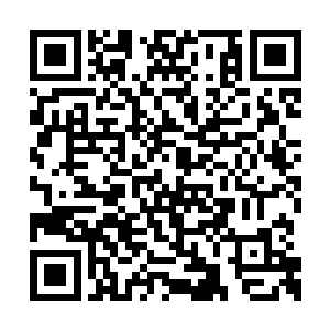 有一半的把我可以用格斗术直接卡主对方的脖子二维码生成