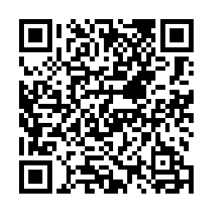有一尖锐带着刻骨仇恨的声音突然从一架车銮中响了起来二维码生成